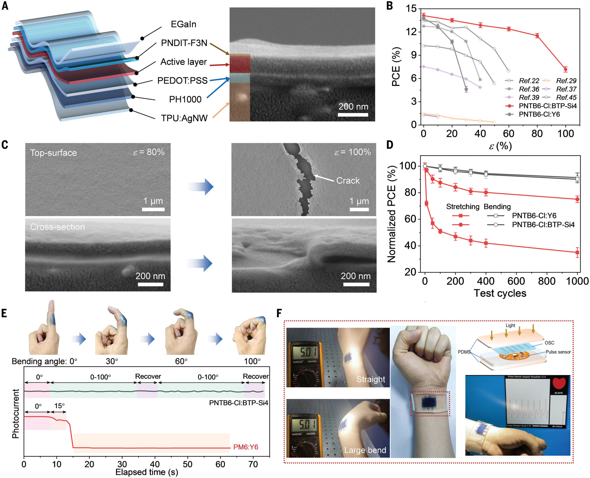 Mechanically robust and stretchable organic solar cells plasticized by small-molecule acceptors
